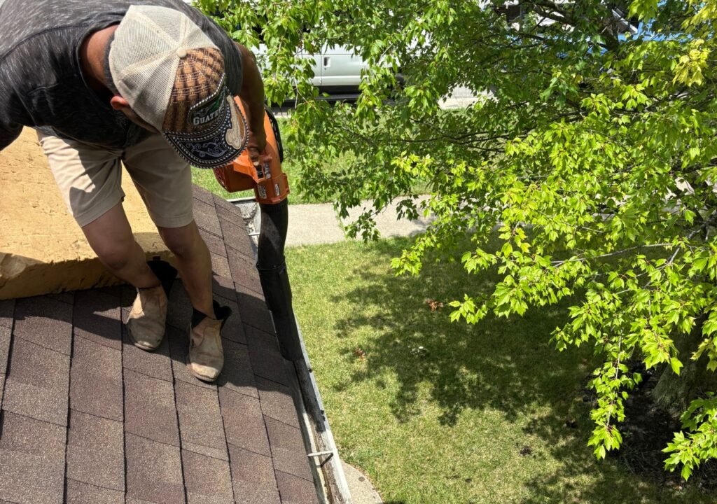 Gutter Cleaning